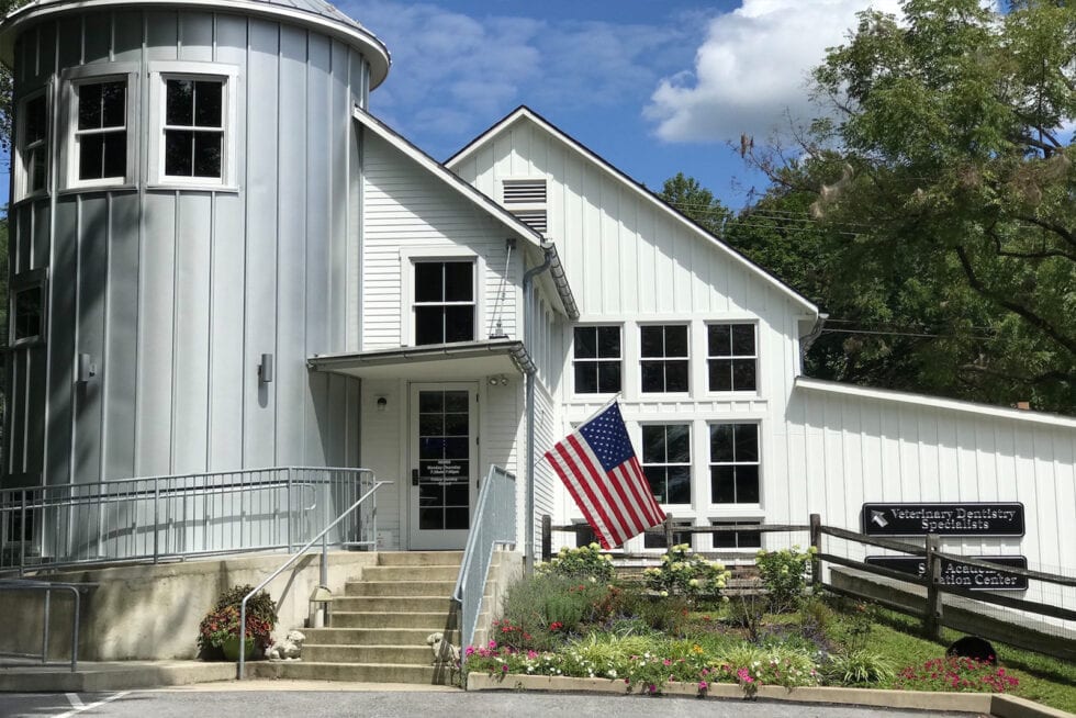 Veterinary Dentistry Specialists Advanced Veterinary Oral Care