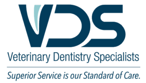 Veterinary Dentistry Specialists
