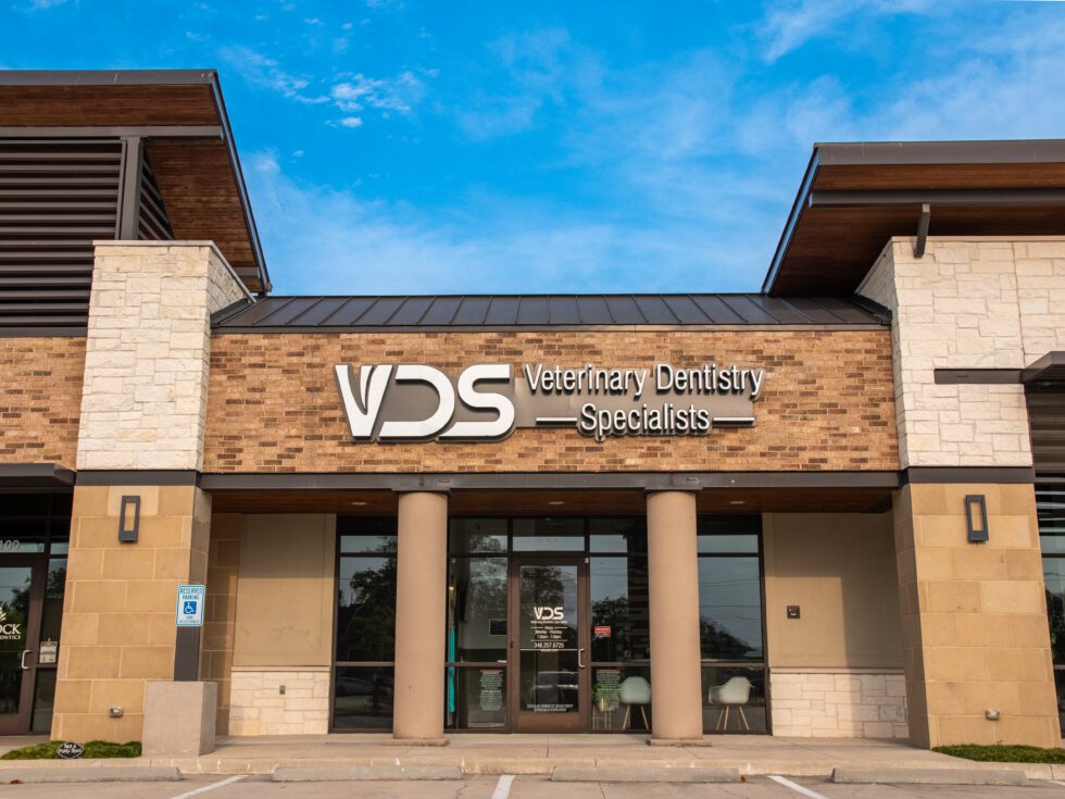 Veterinary Dental Clinic Katy Oral Surgery VDS Katy, TX