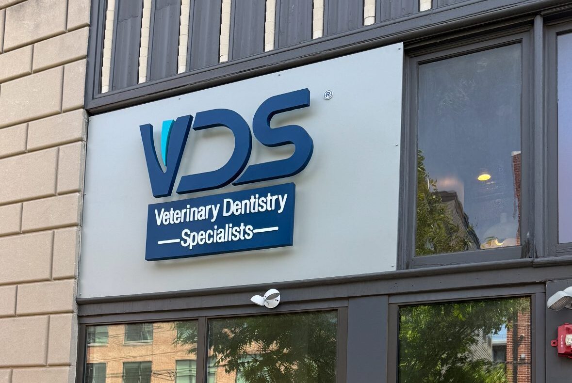 Veterinary Dental Clinic Center City
